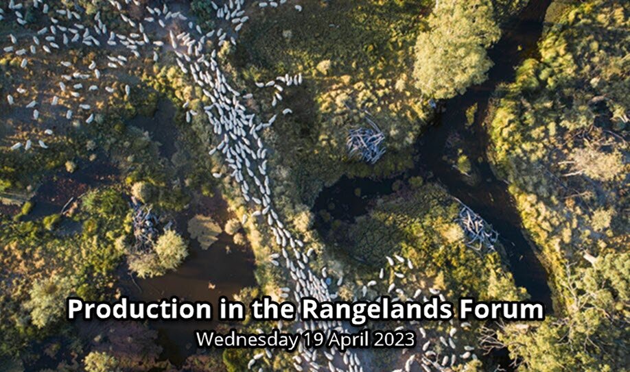 Production in the Rangelands Forum