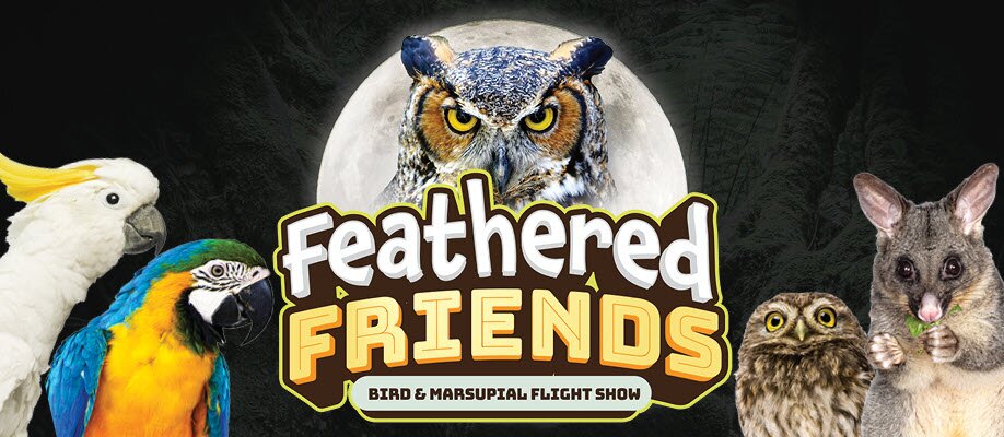 Feathered Friends Flight Show