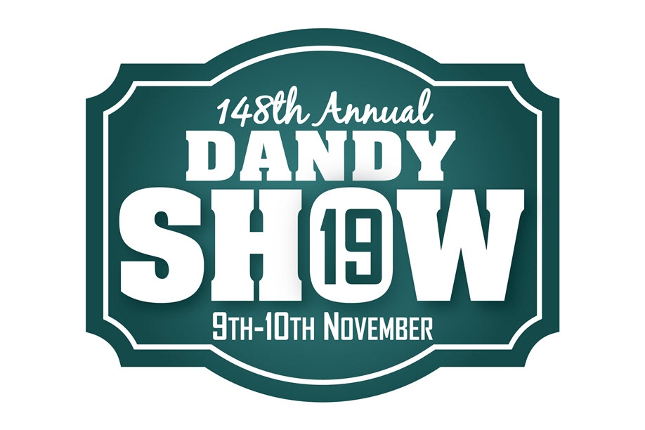 Dandy Show 2019
