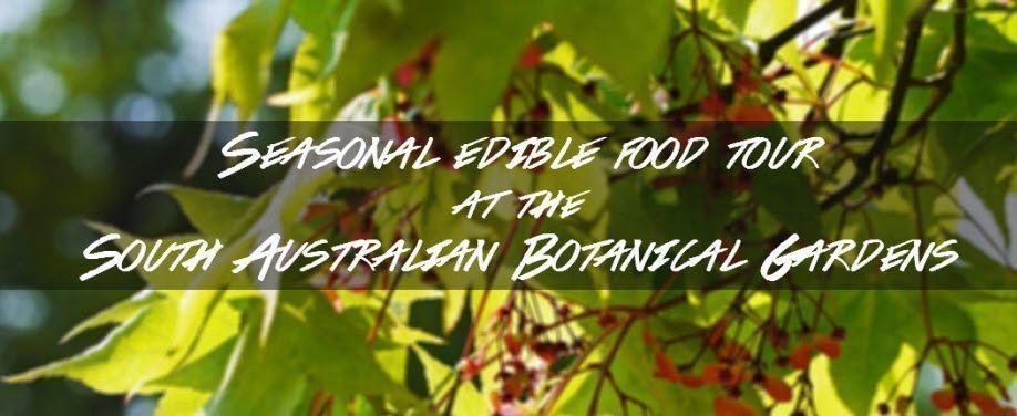 Seasonal edible food tour at the South Australian Botanical Gardens
