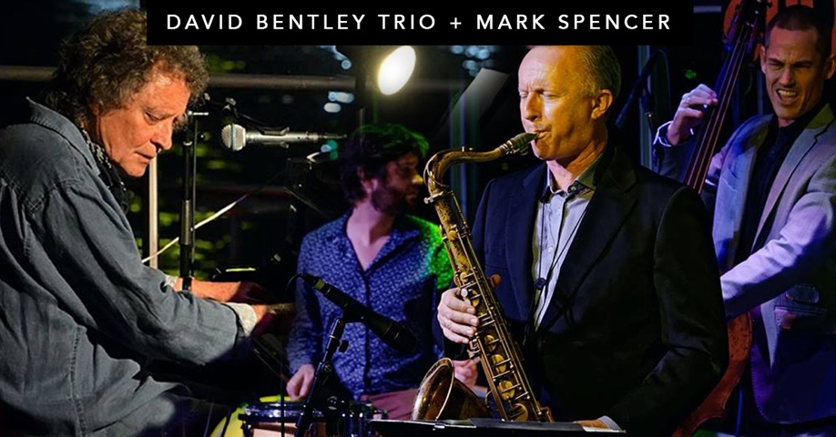 Jazz + Blues Sundays @ the Old Soul Bar | David Bentley Trio + Mark Spencer