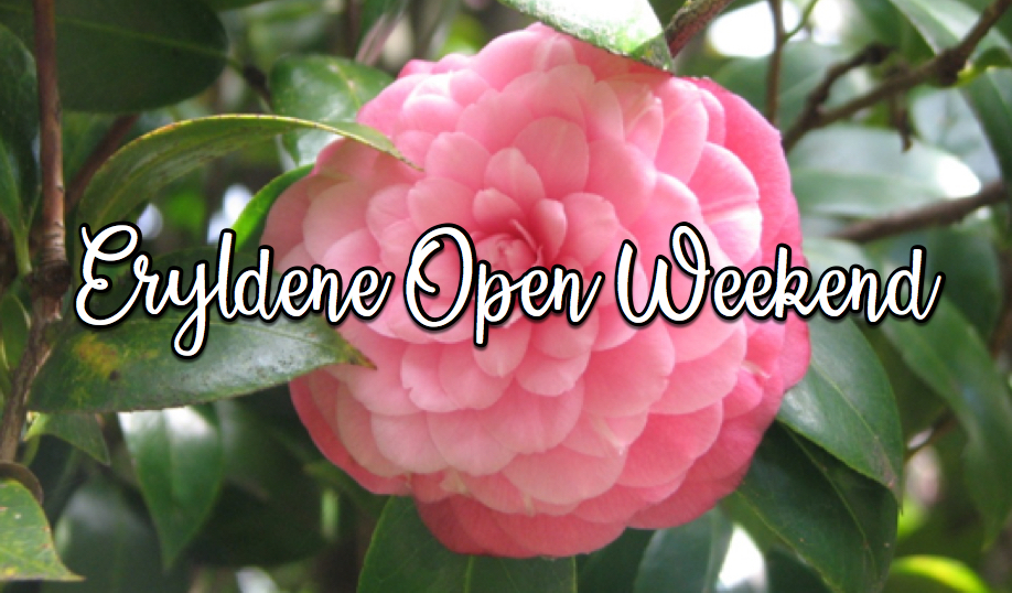 Eryldene Open Weekend | SAT 8 AUG