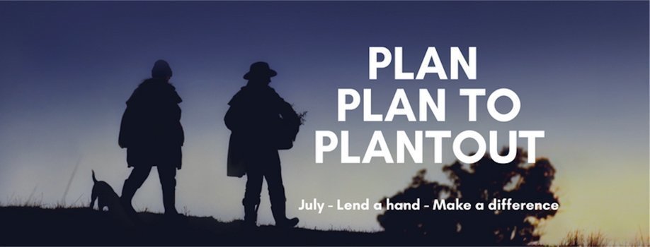 Plantout 2019 | SUN 7 JULY, HALLS GAP - FREE EVENT