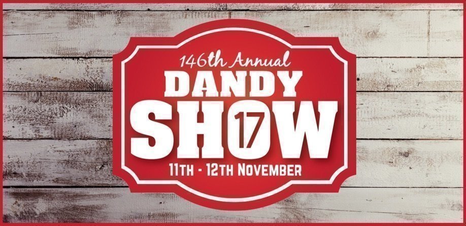 Dandy Show 2017