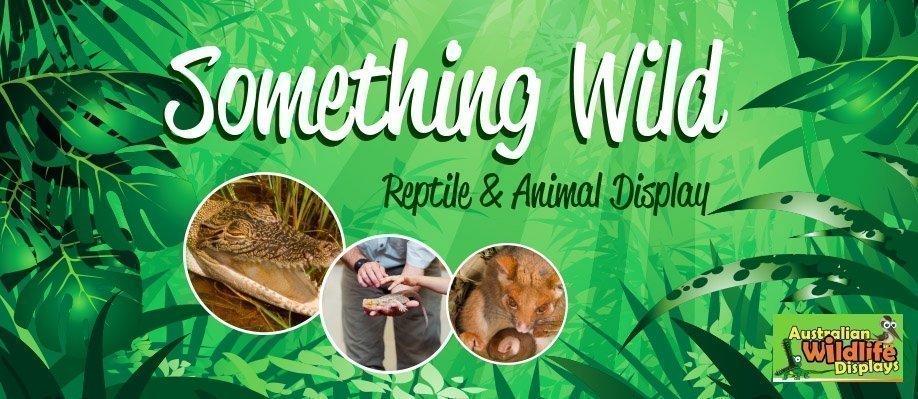 Something Wild Reptile and Animal Display – Birrong Sports