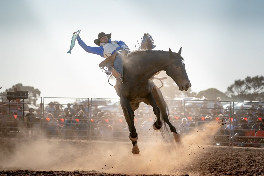 Rodeo by the Sea