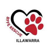 Best Friends Forever Rescue Fundraising Event