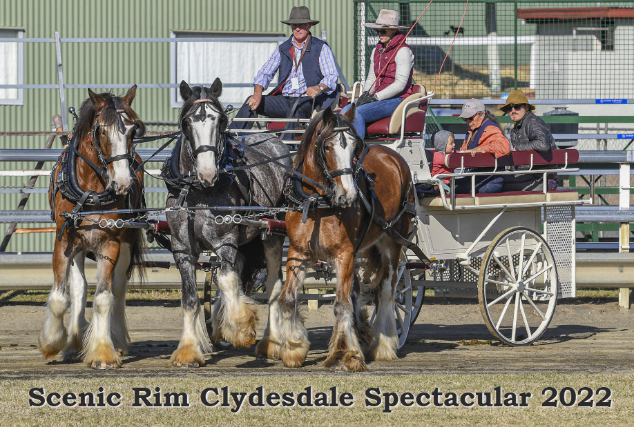 Scenic Rim Clydesdale Spectacular 2022 | ENTRY TICKETS