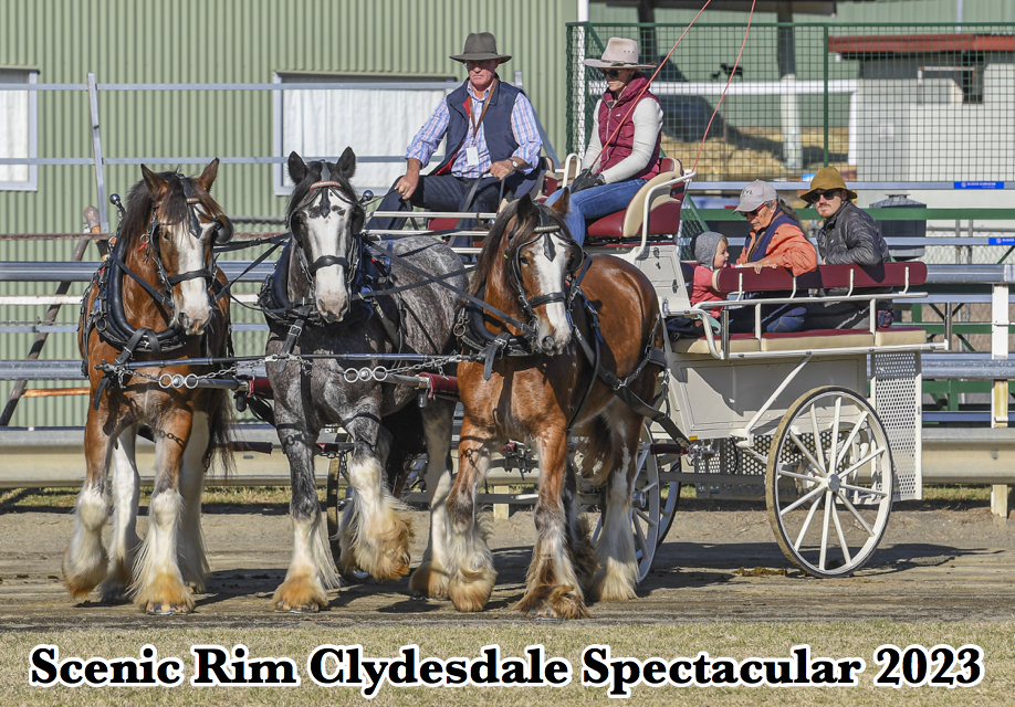 Scenic Rim Clydesdale Spectacular 2022 | BOONAH TOWN TOUR