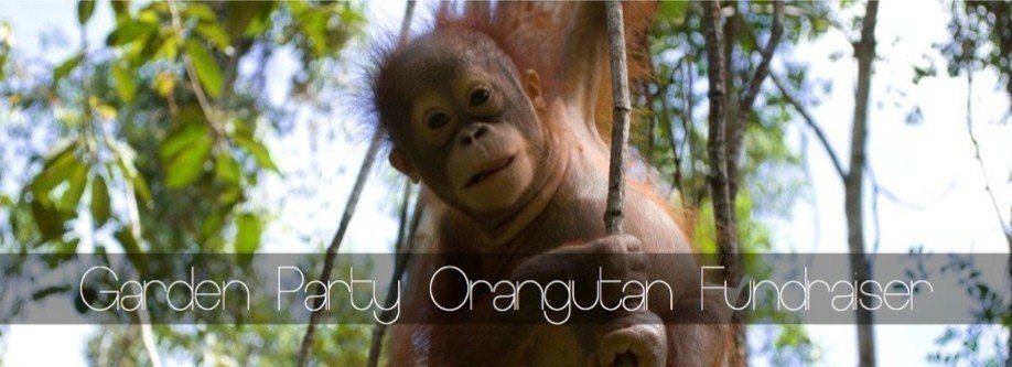 Garden Party Orangutan Fundraiser